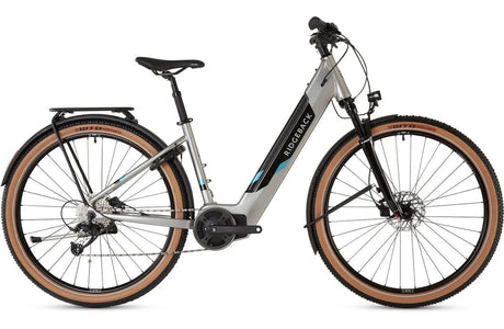 Ridgeback Arcus 3W - Simple Bike Store
