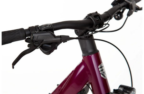 Ridgeback Advance 2W - Simple Bike Store