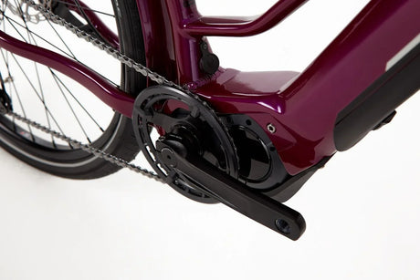 Ridgeback Advance 2W - Simple Bike Store