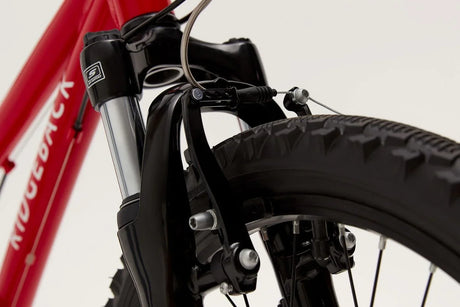 Ridgeback MX20 - Simple Bike Store