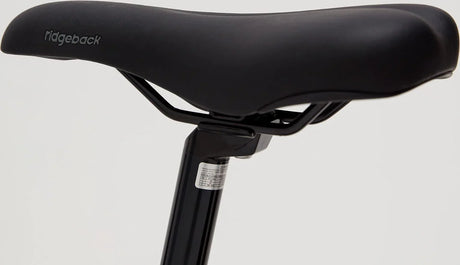 Ridgeback Serenity - Simple Bike Store