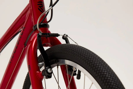 Ridgeback Dimension 20 - Simple Bike Store