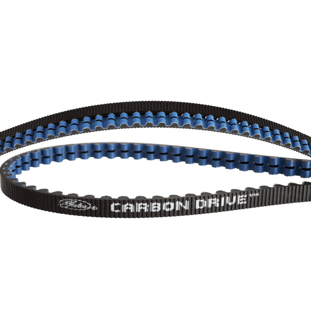 Gates CDX Belt - Simple Bike Store