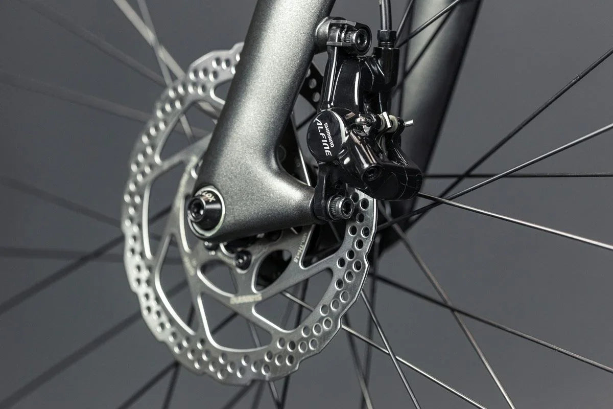 Schindelhauer Heinrich Singlespeed - Simple Bike Store