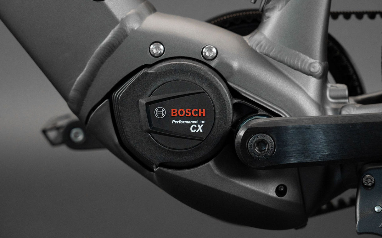 Schindelhauer Heinrich