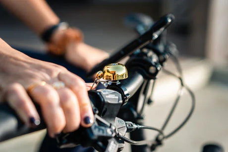 Lezyne Classic Stainless Brass Bell - Simple Bike Store