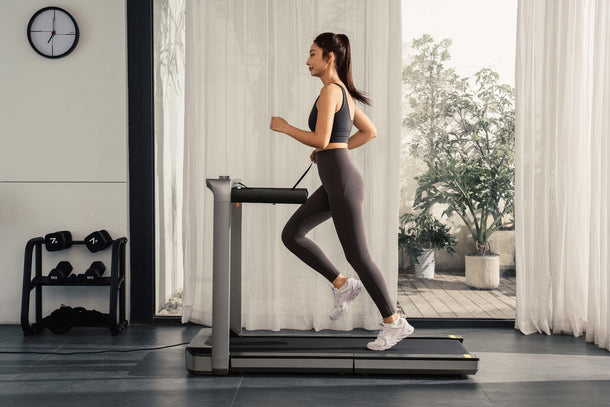 KingSmith WalkingPad MX16+ Treadmill