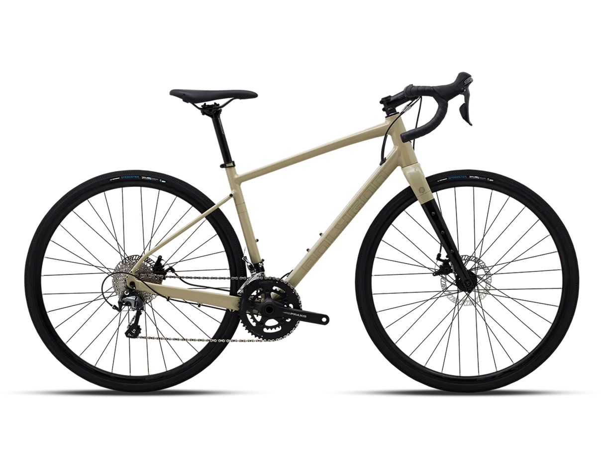 Polygon Path X4 - Simple Bike Store