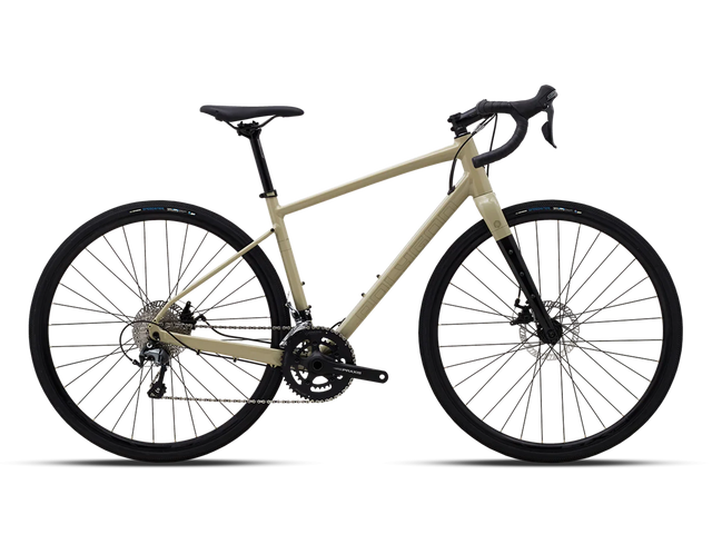 Polygon Path X4 - Simple Bike Store