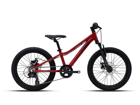 Polygon Relic 20 - Simple Bike Store