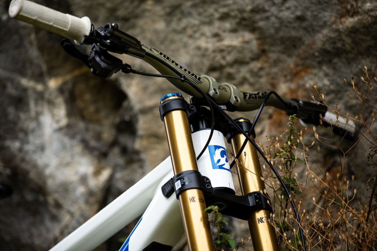 Pivot Phoenix Pro Saint