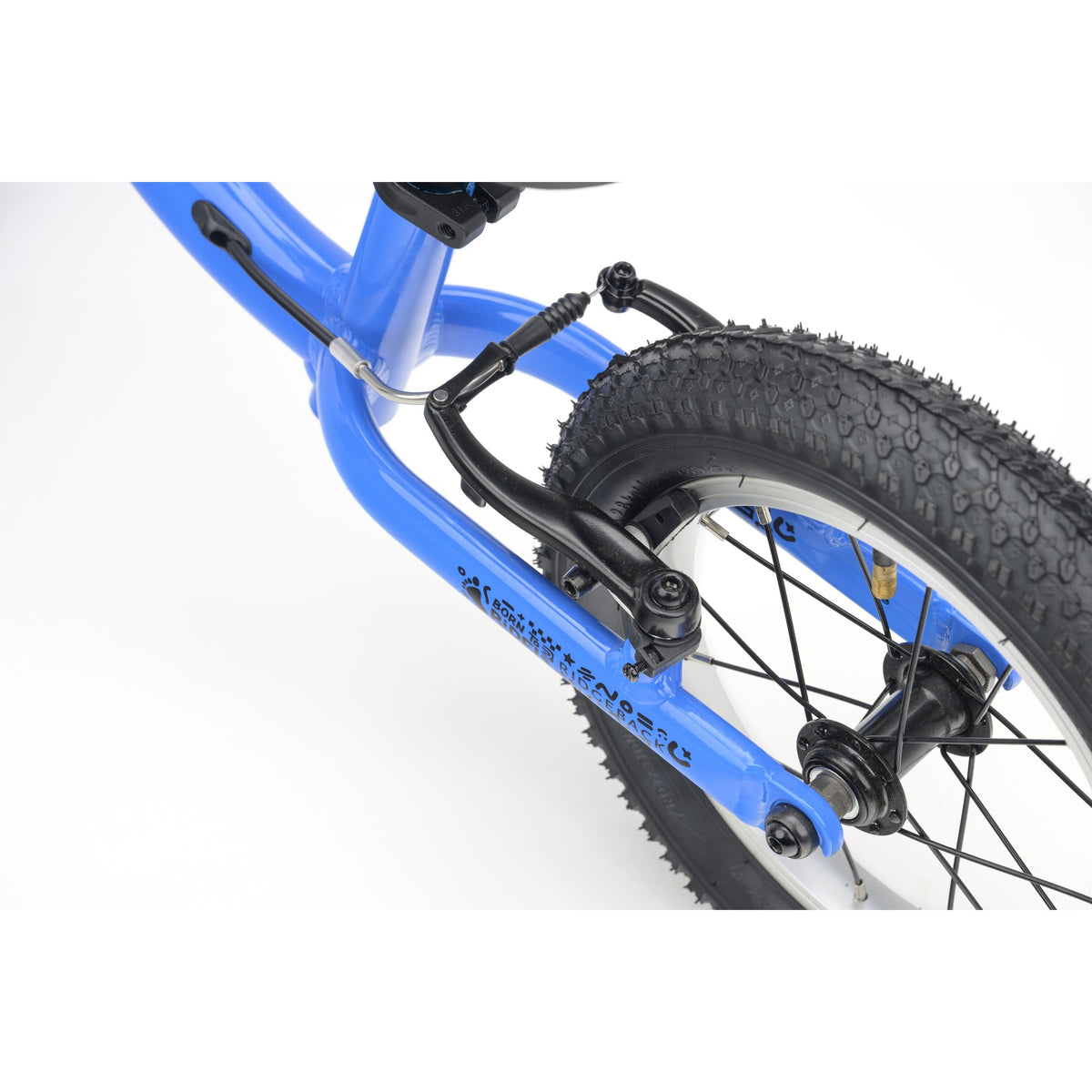 Ridgeback Scoot - 2026