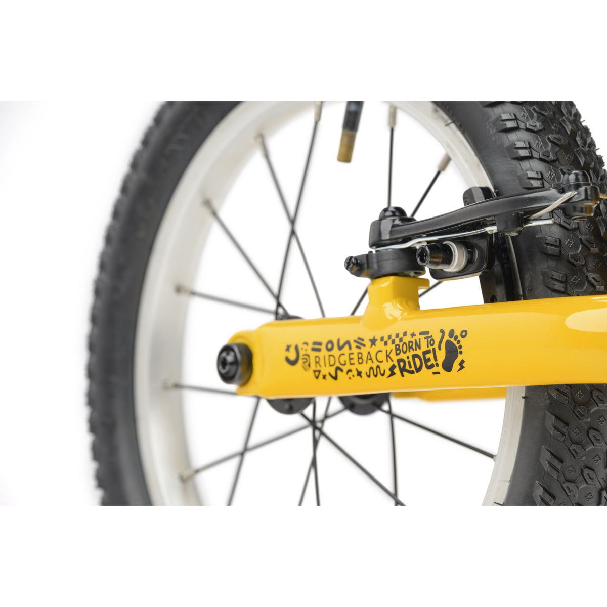 Ridgeback Scoot XL - 2026