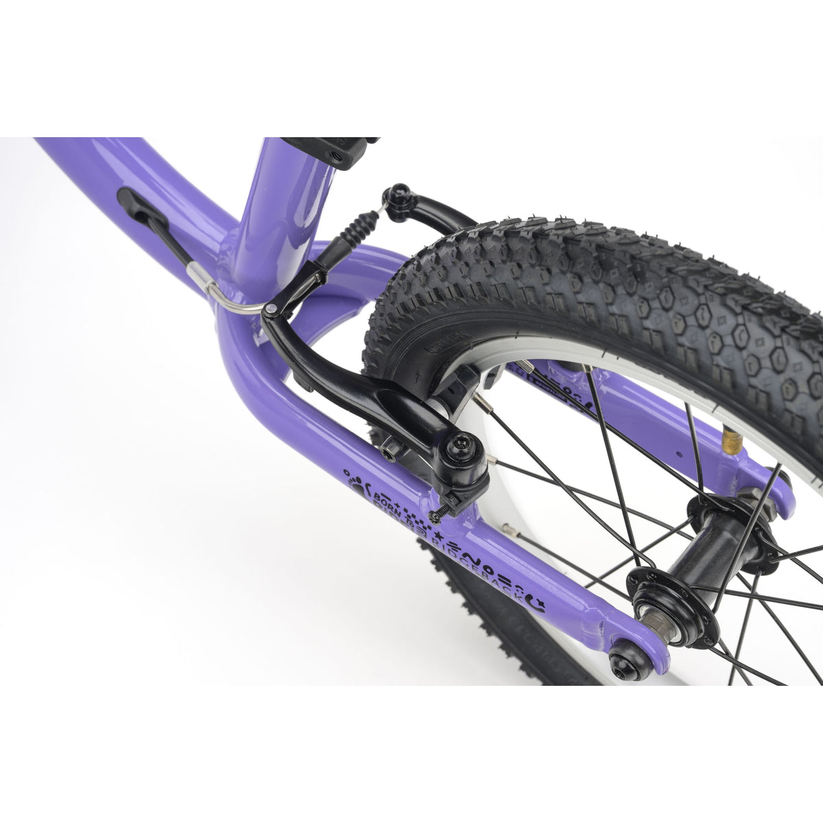 Ridgeback Scoot XL - 2026