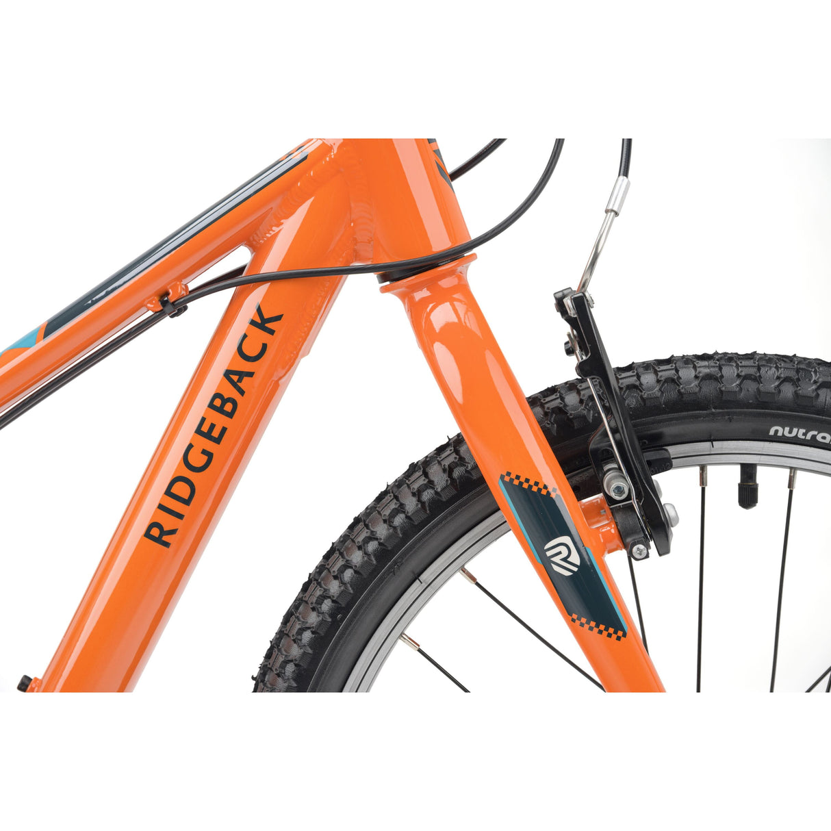 Ridgeback MX20 - 2026