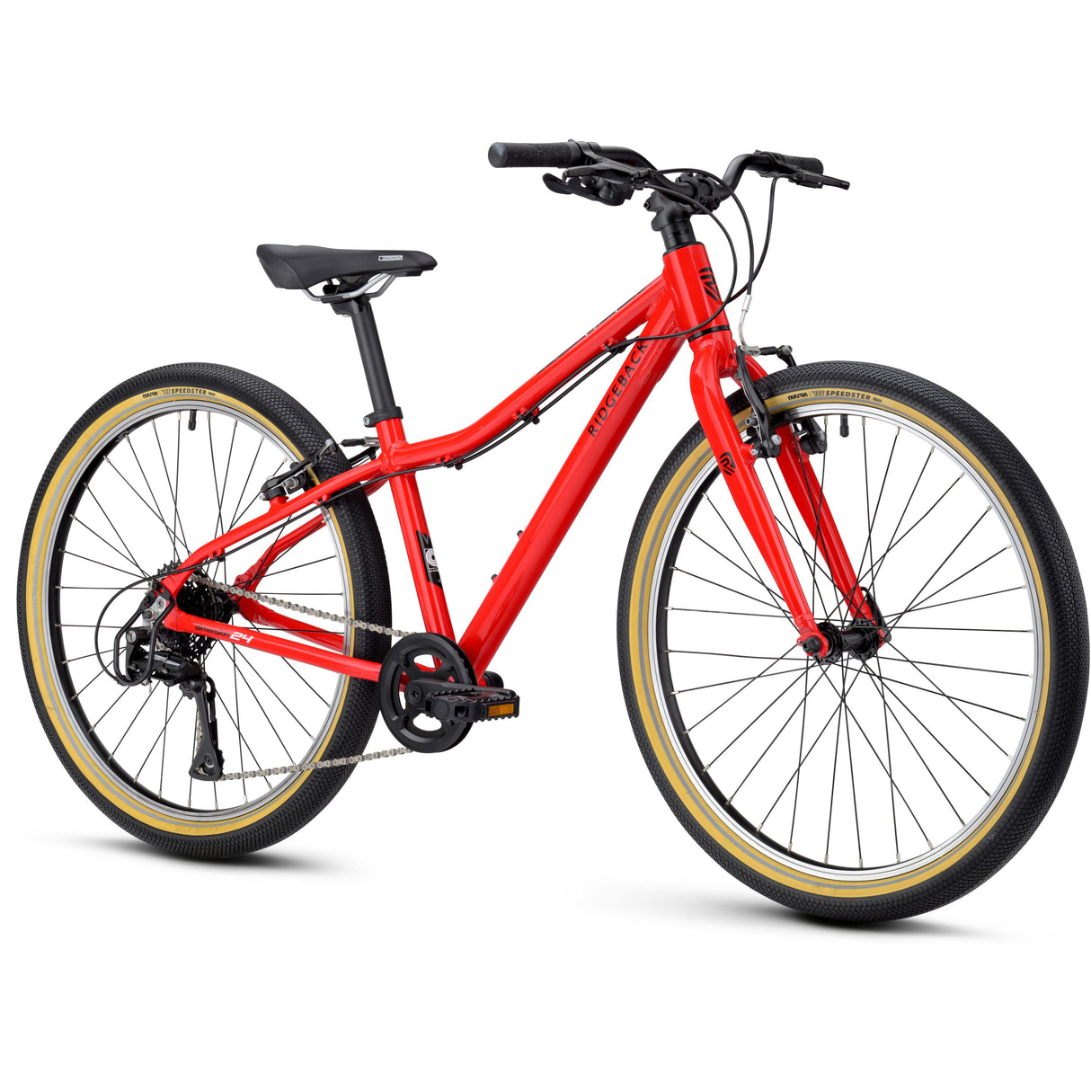 Ridgeback Dimension 24 - 2026