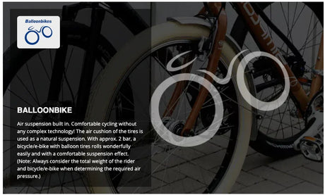 Schwalbe Big Apple Tire - Simple Bike Store