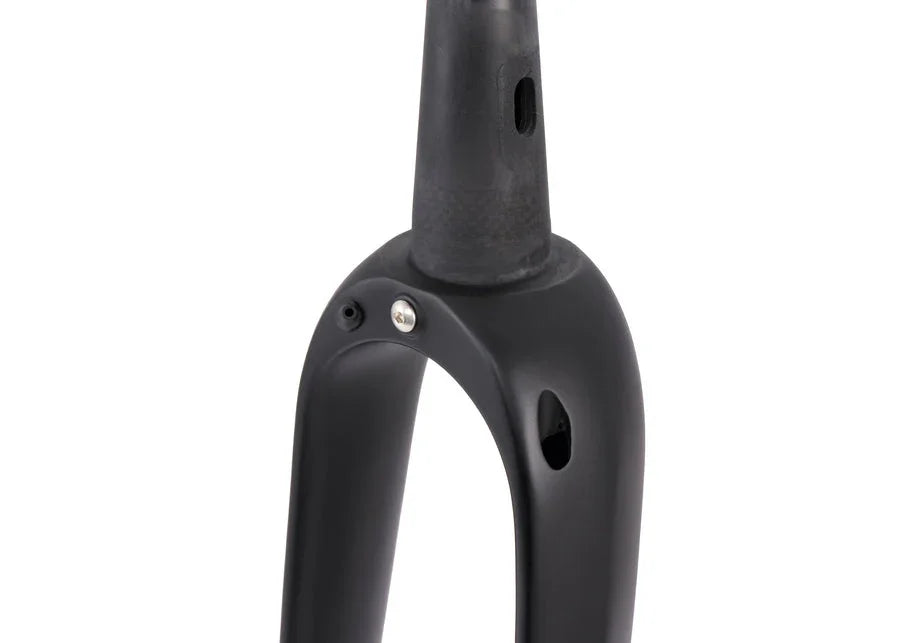 Seido MGV Carbon Fork - Simple Bike Store