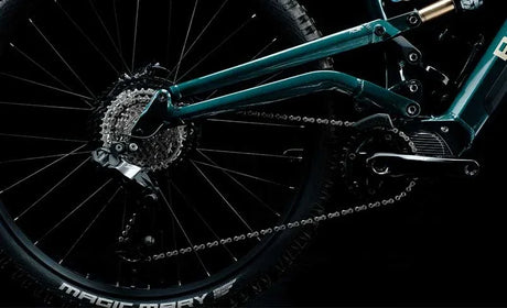 Polygon Collosus N8XE - Simple Bike Store