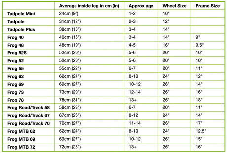 Frog Bikes Frog MTB 62 - Simple Bike Store