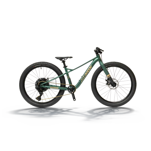 Bemoov T24