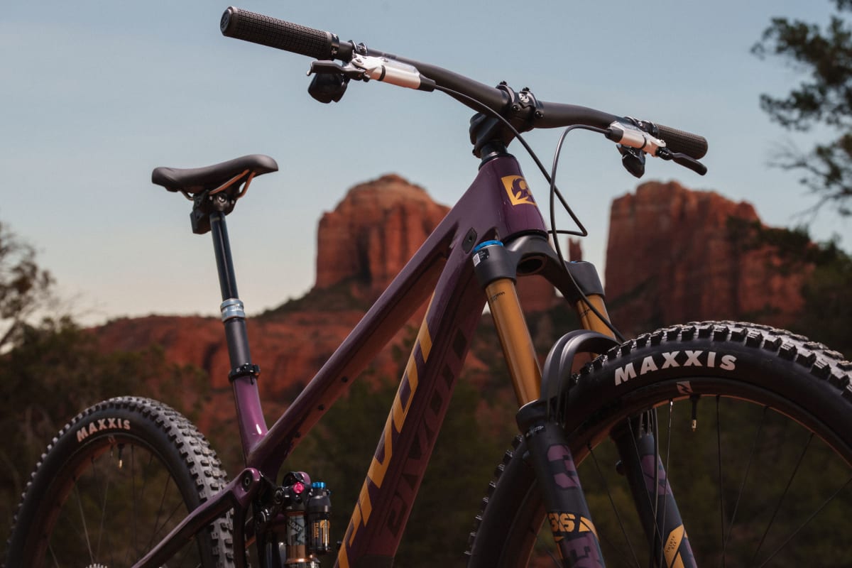 Pivot Trailcat LT Pro X0 Eagle Transmission