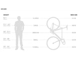 Aventon Cordoba LTD 2020 - Simple Bike Store