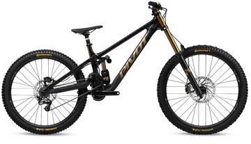 Pivot Phoenix Pro Saint