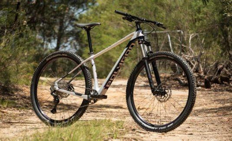 Polygon Syncline C3 - Simple Bike Store