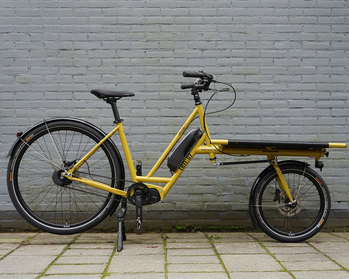 Ten07 Unicorn Family E-Cargo