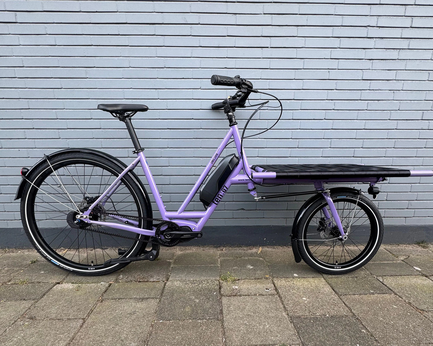 Ten07 Unicorn Family E-Cargo