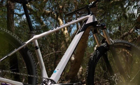 Polygon Syncline C3 - Simple Bike Store