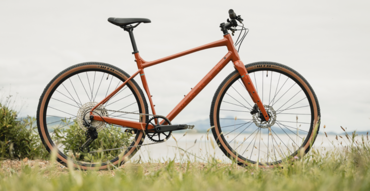 Marin DSX 2 - 2025