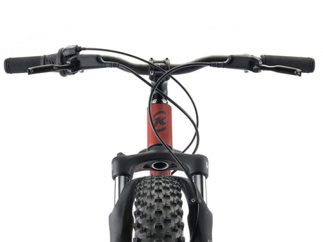 Kona Honzo 20 - Simple Bike Store
