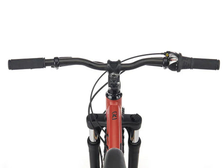 Kona Honzo 20 - Simple Bike Store
