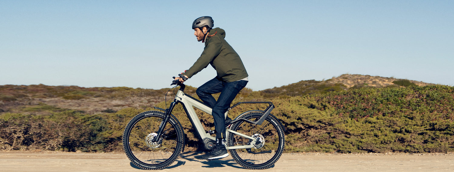 Riese&Muller Superdelite, Silver Matt (47cm)