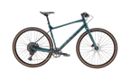 Marin DSX 1 - 2026