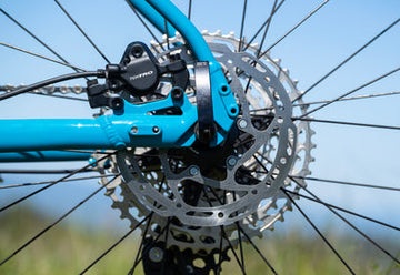 Marin Bobcat Trail 3 - 2026