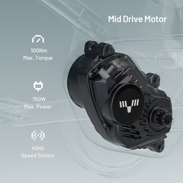 Tarran L1m (Manual)