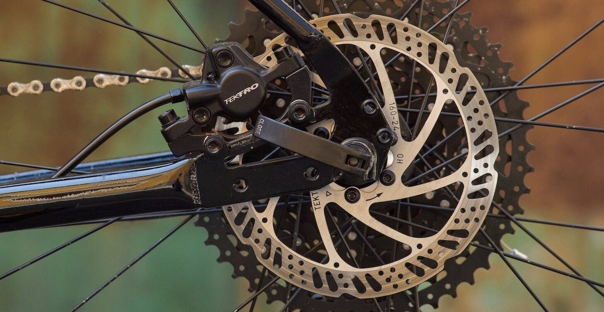 Marin Muirwoods - 2023 - Simple Bike Store