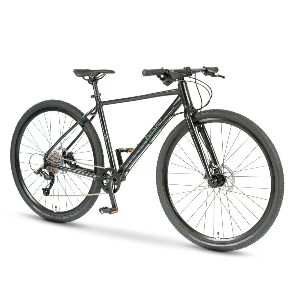 Beany ZERO 29, 17" frame