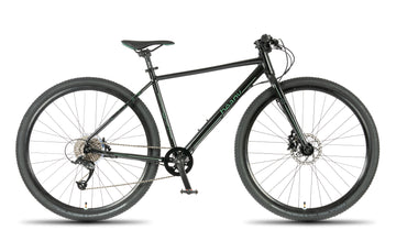 Beany ZERO 29, 17" frame