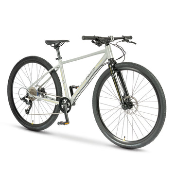 Beany ZERO 29, 17" frame