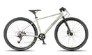 Beany ZERO 29, 17" frame