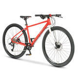 Beany ZERO 29, 19" frame