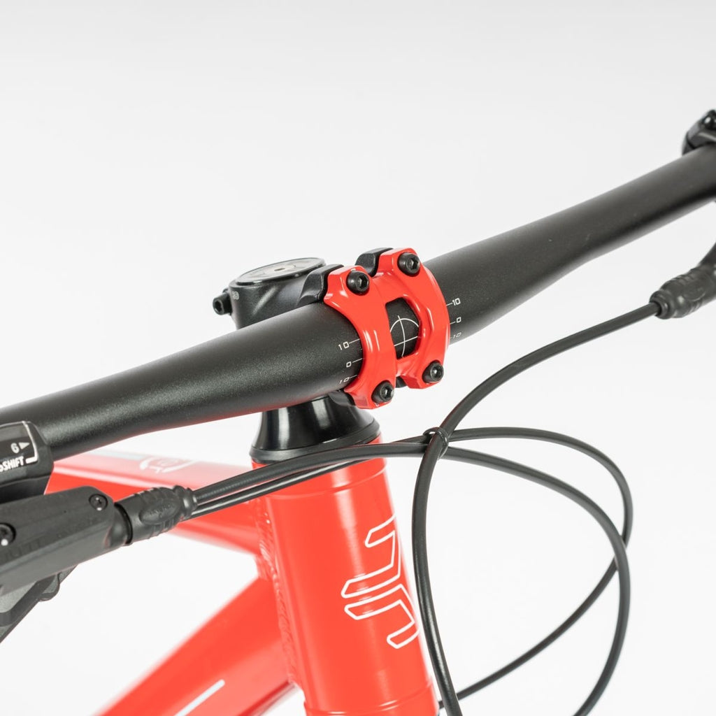 Beany ZERO 29, 19" frame