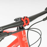 Beany ZERO 29, 19" frame