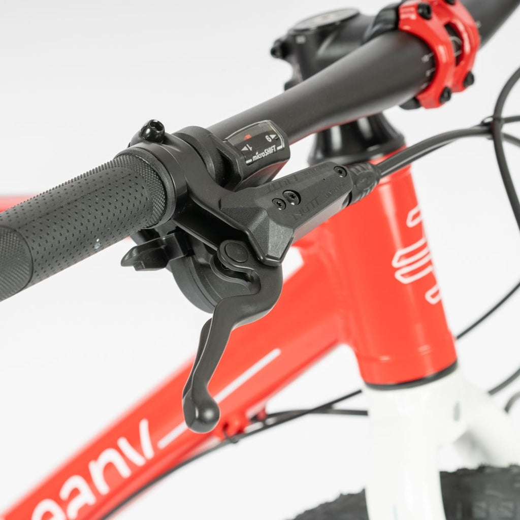 Beany ZERO 29, 19" frame