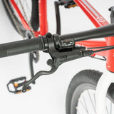Beany ZERO 29, 19" frame
