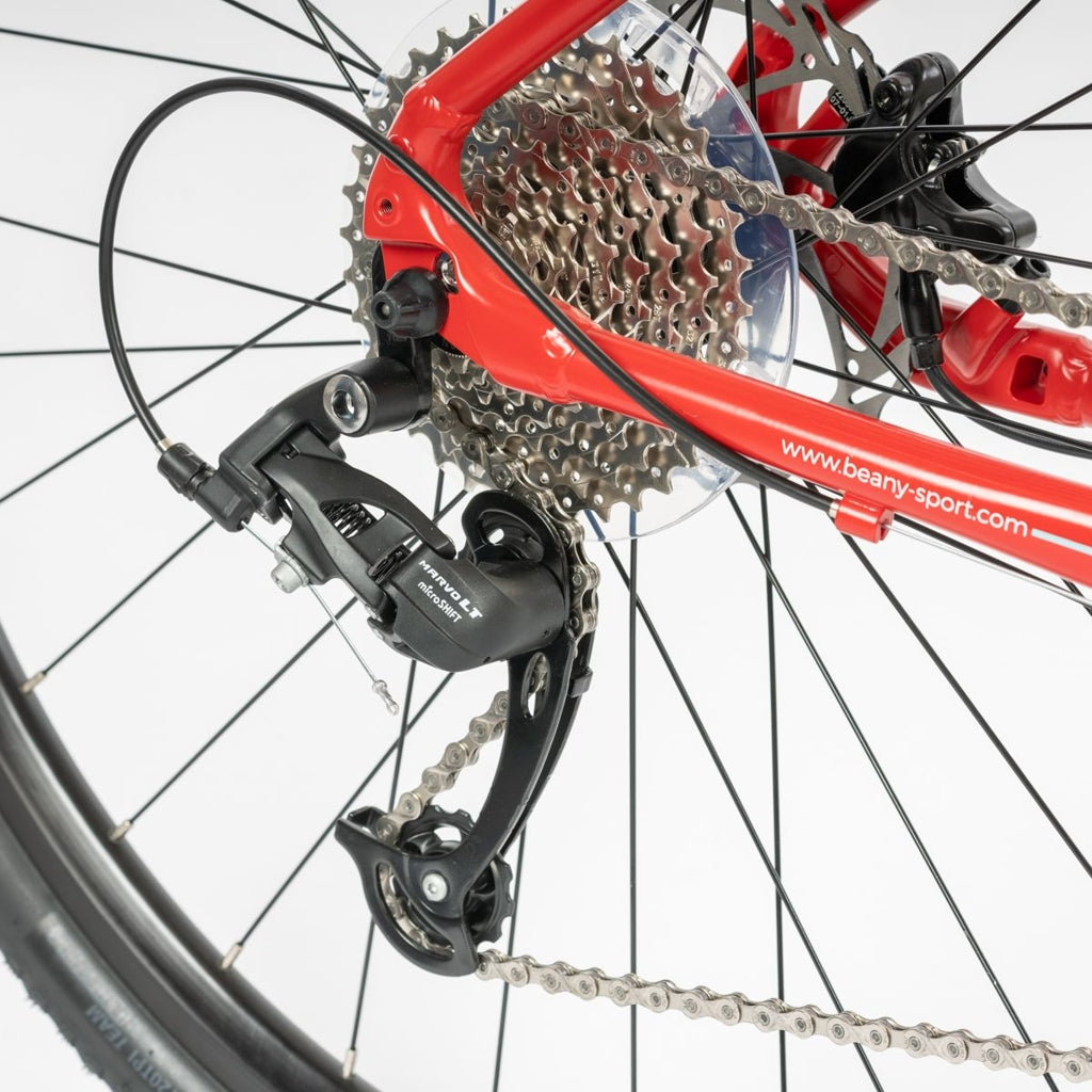 Beany ZERO 29, 19" frame